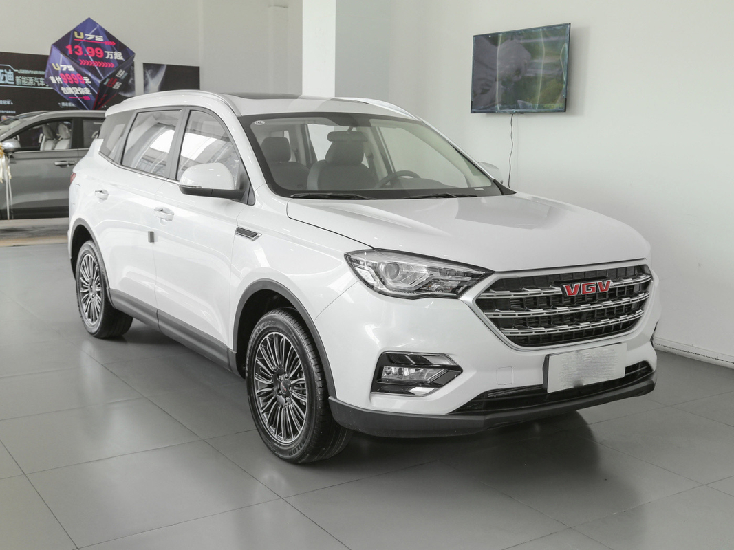 خزان الوقود 55 لتر أبيض 7 مقاعد سيارة ساينو تراك VGV Used Manual SUV 175 Km / H
